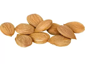 Apricot kernels